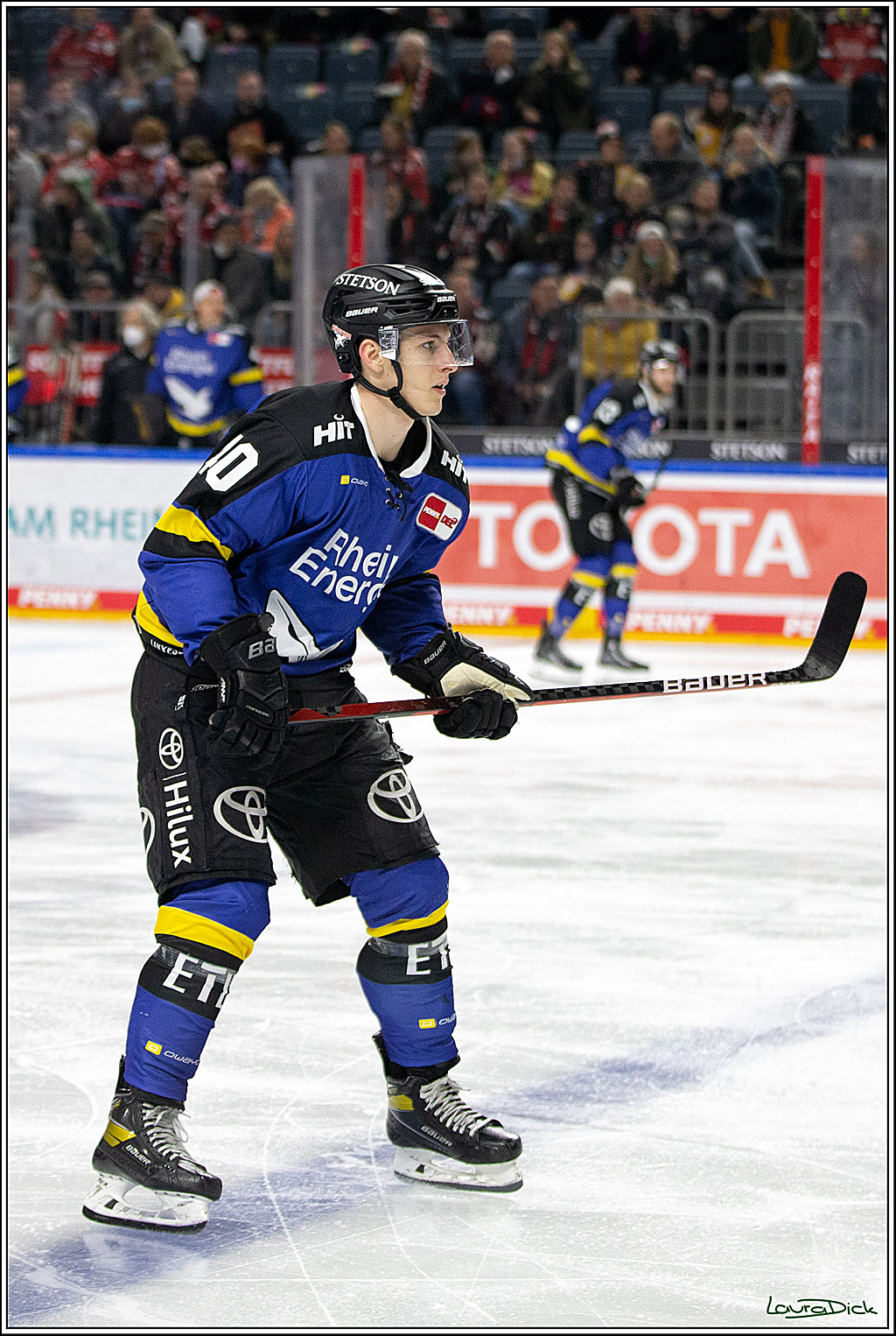 PENNY DEL; Koelner Haie- Fishtown Pinguins Bremerhaven; Koeln, 23.11.2021